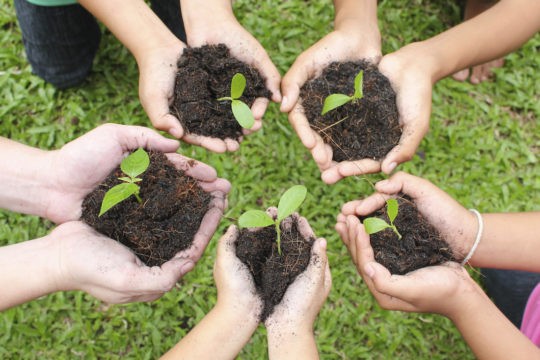 A group of people standing in a circle holding dirt in their hands