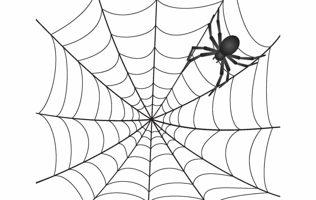 A black spider on a web