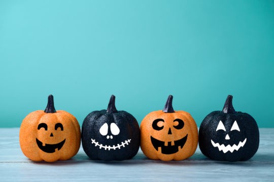 A line of Halloween pumpkins with funny faces