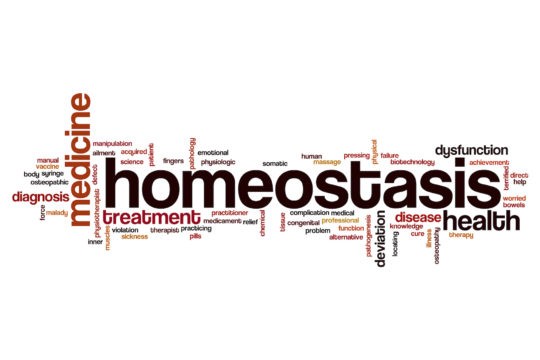 The word ‘Homeostasis’ surrounded by description words